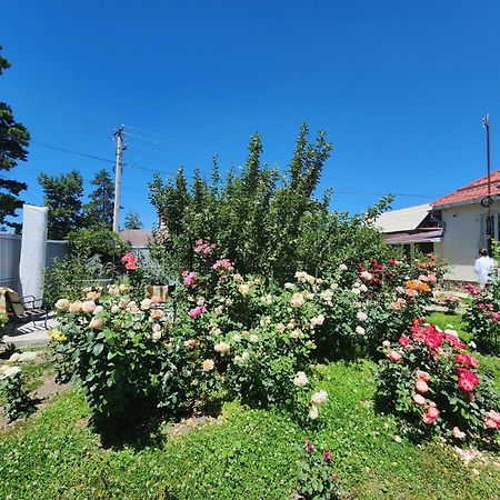 Hostel In The Centre Of Karakol Gebze Bagian luar foto