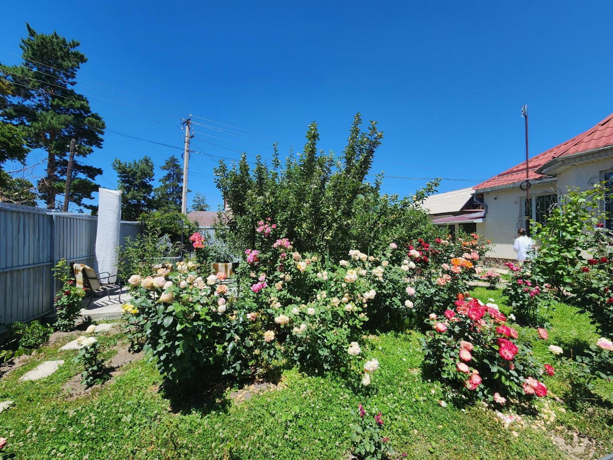 Hostel In The Centre Of Karakol Gebze Bagian luar foto